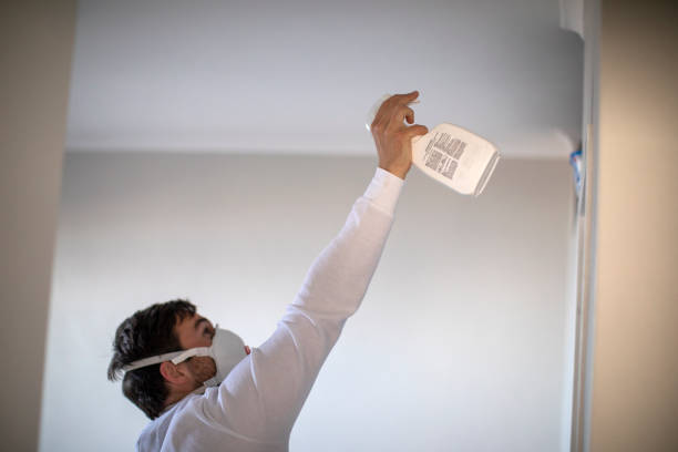 Office Mold Removal Services in Johnson Lane, NV